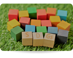 This picture shows wooden cubes stamped with the letters SDGs